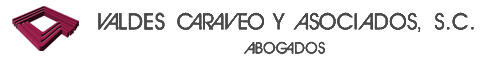 Valdes Caraveo y Asociados S.C. - Valdes Caraveo y Asociados S.C.